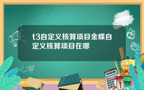 t3自定义核算项目金蝶自定义核算项目在哪
