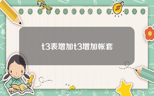 t3表增加t3增加帐套