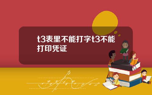 t3表里不能打字t3不能打印凭证