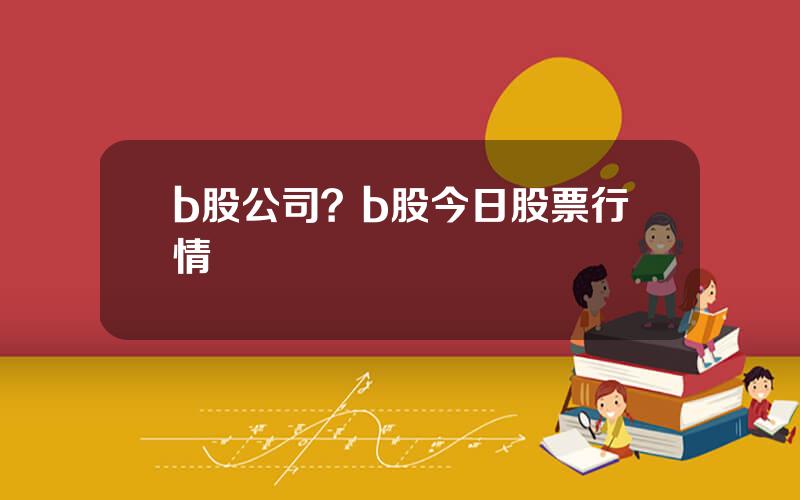 b股公司？b股今日股票行情
