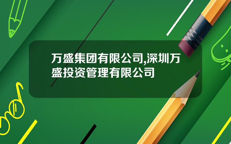 万盛集团有限公司,深圳万盛投资管理有限公司