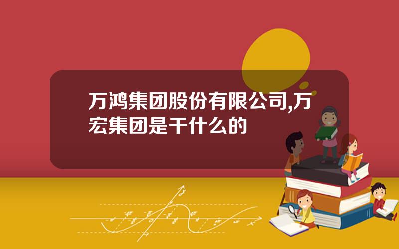 万鸿集团股份有限公司,万宏集团是干什么的