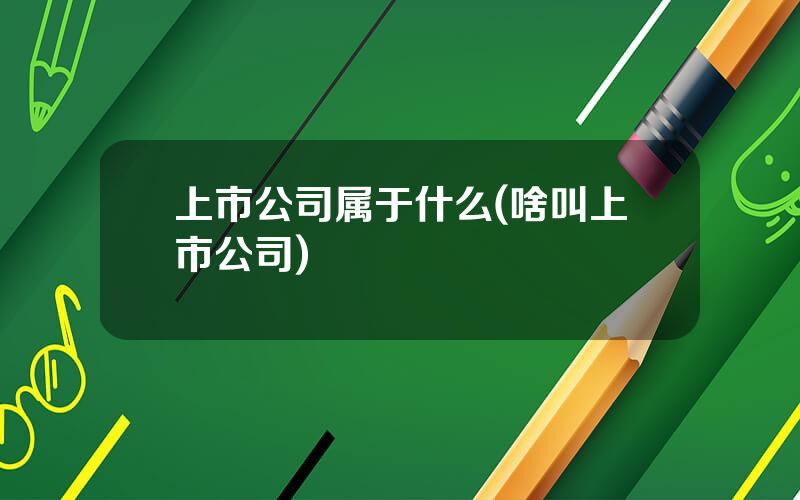 上市公司属于什么(啥叫上市公司)