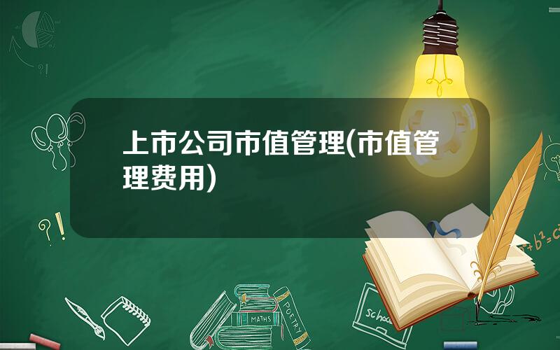 上市公司市值管理(市值管理费用)