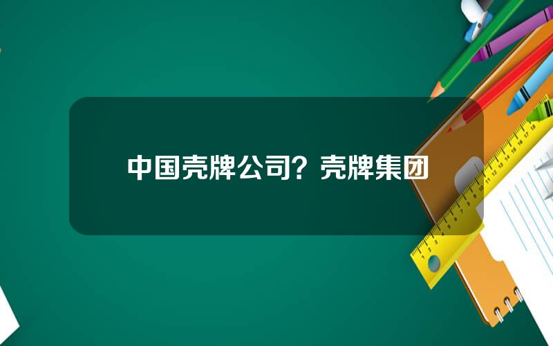 中国壳牌公司？壳牌集团