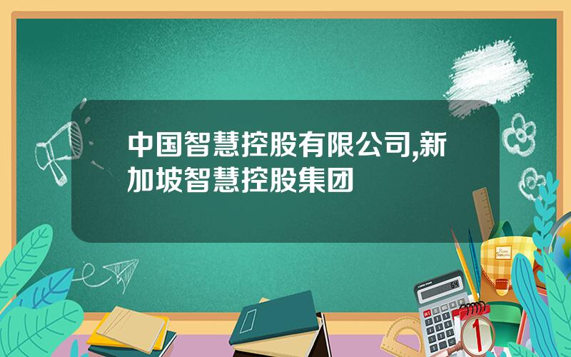 中国智慧控股有限公司,新加坡智慧控股集团