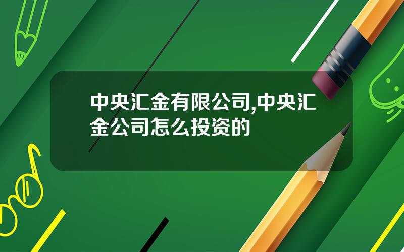 中央汇金有限公司,中央汇金公司怎么投资的