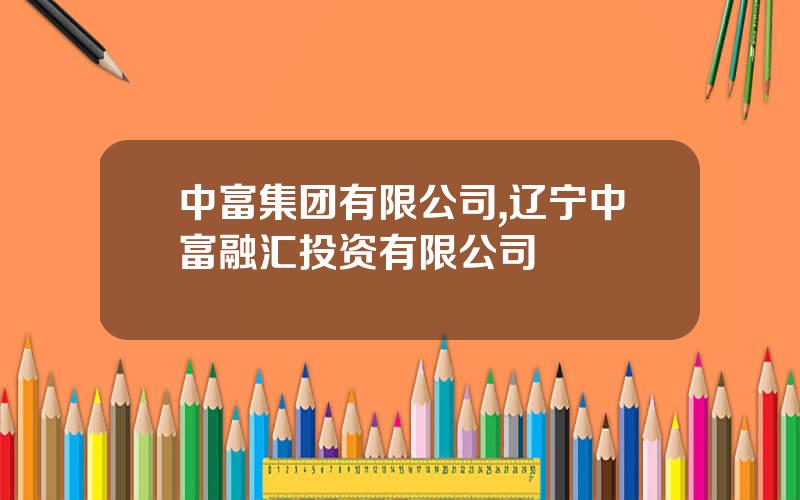 中富集团有限公司,辽宁中富融汇投资有限公司