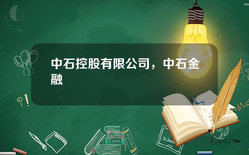 中石控股有限公司，中石金融