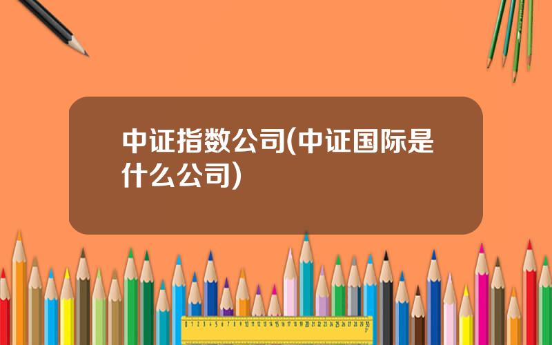 中证指数公司(中证国际是什么公司)