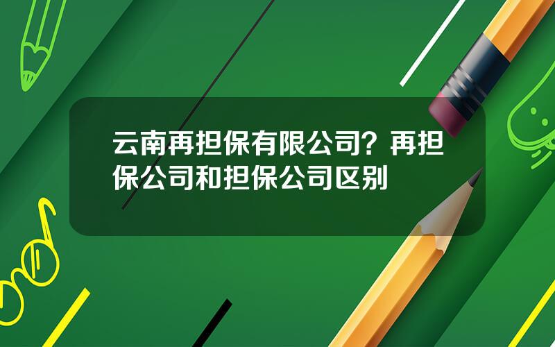 云南再担保有限公司？再担保公司和担保公司区别