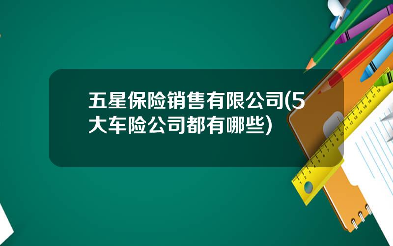 五星保险销售有限公司(5大车险公司都有哪些)
