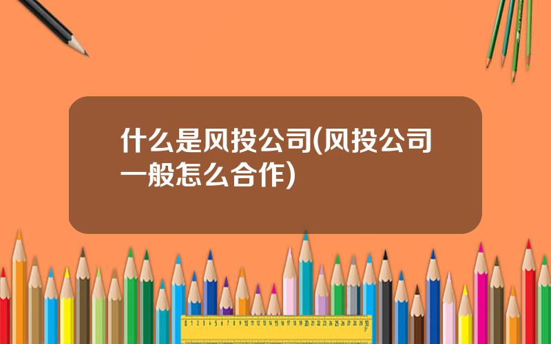 什么是风投公司(风投公司一般怎么合作)