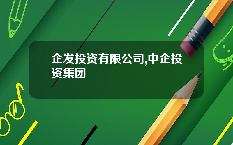 企发投资有限公司,中企投资集团