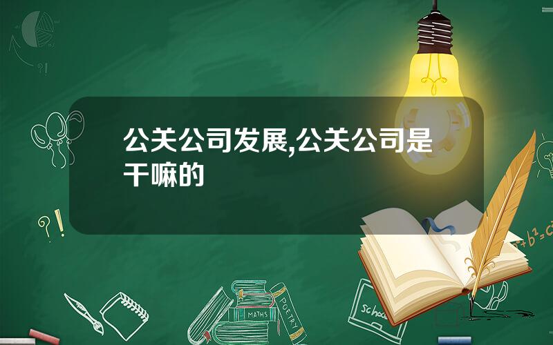 公关公司发展,公关公司是干嘛的
