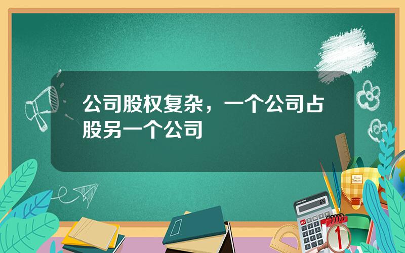 公司股权复杂，一个公司占股另一个公司