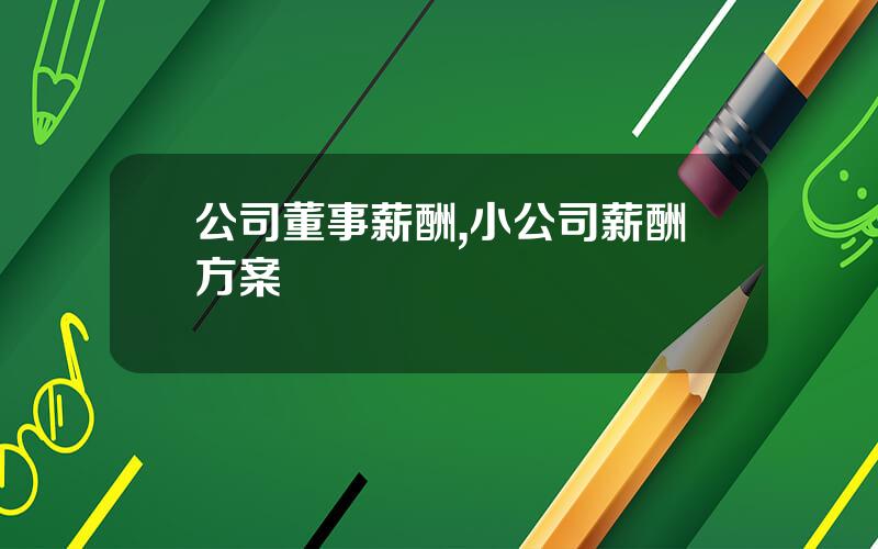 公司董事薪酬,小公司薪酬方案