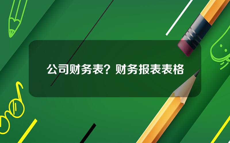 公司财务表？财务报表表格