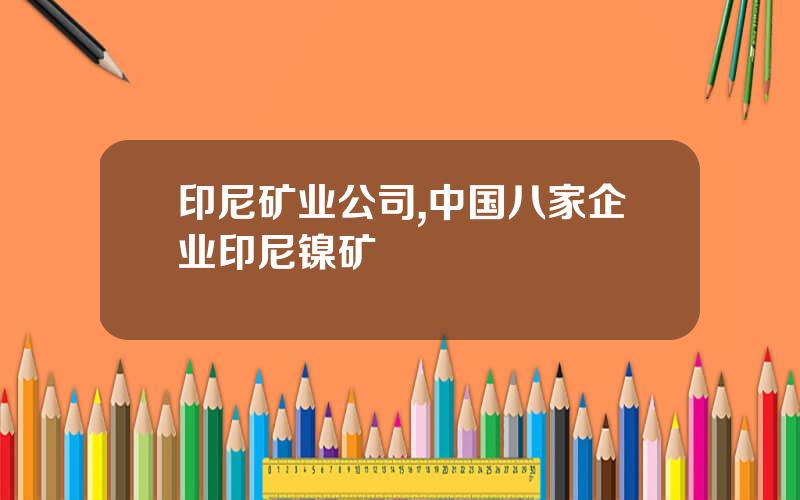 印尼矿业公司,中国八家企业印尼镍矿