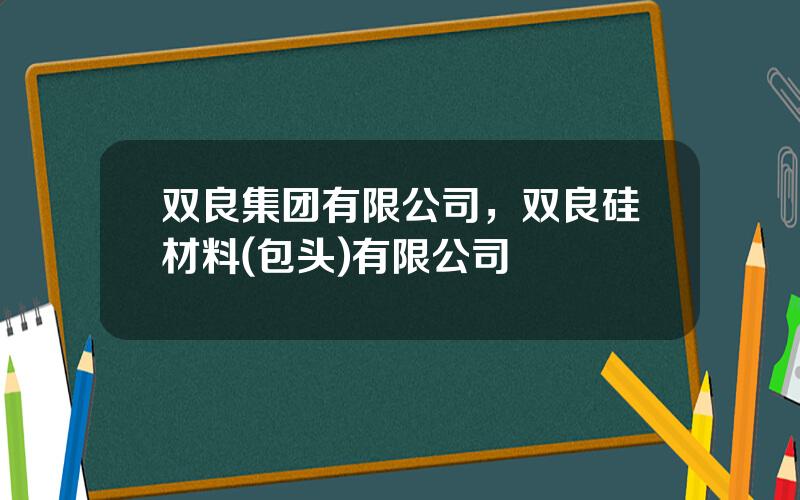 双良集团有限公司，双良硅材料(包头)有限公司
