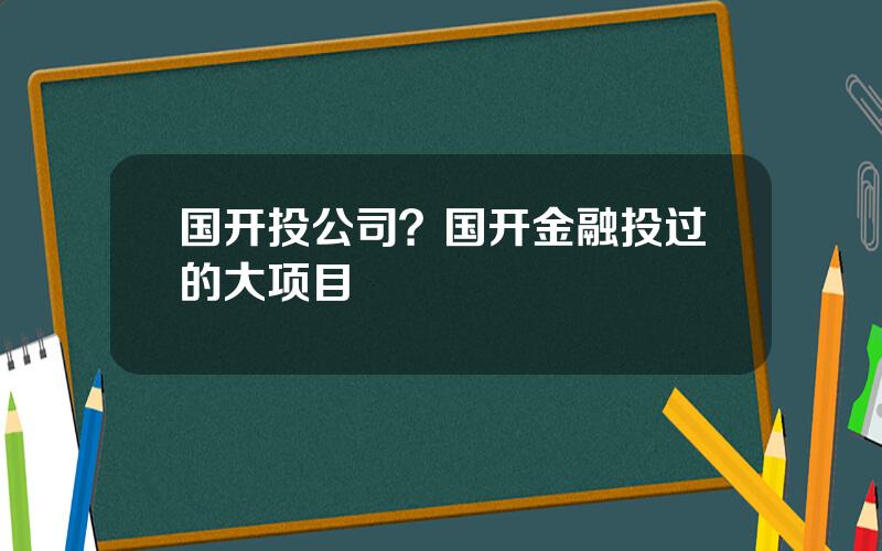 国开投公司？国开金融投过的大项目