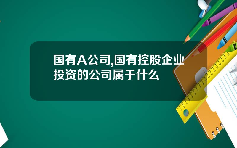 国有A公司,国有控股企业投资的公司属于什么