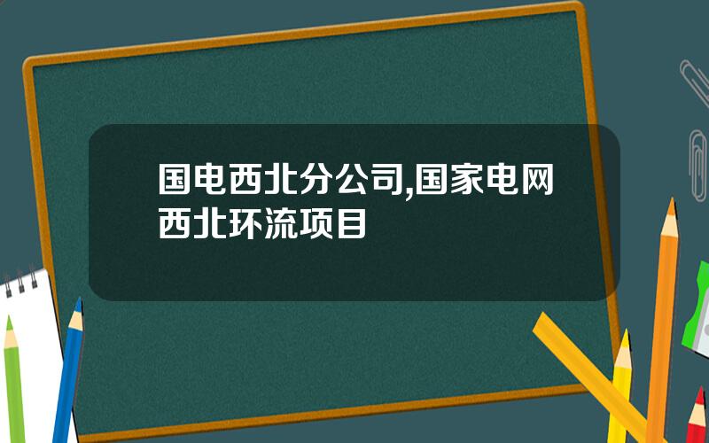 国电西北分公司,国家电网西北环流项目
