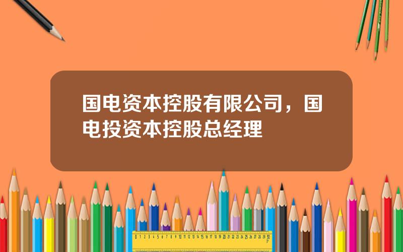 国电资本控股有限公司，国电投资本控股总经理