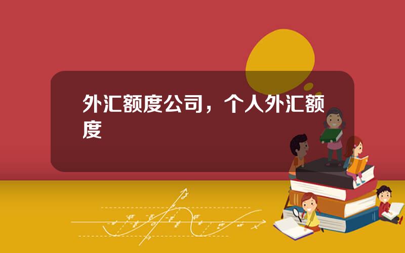 外汇额度公司，个人外汇额度