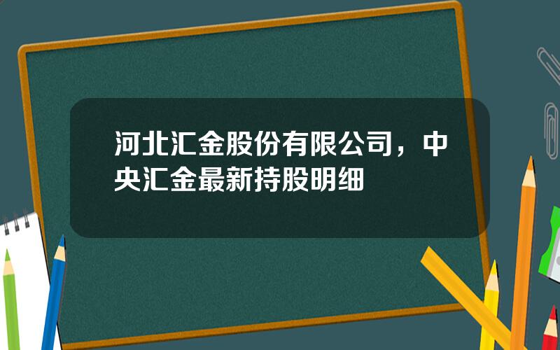 河北汇金股份有限公司，中央汇金最新持股明细