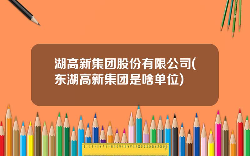 湖高新集团股份有限公司(东湖高新集团是啥单位)