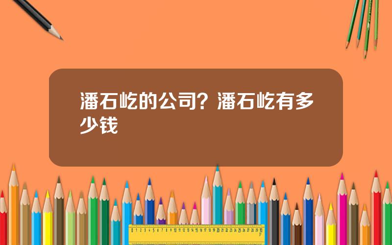 潘石屹的公司？潘石屹有多少钱