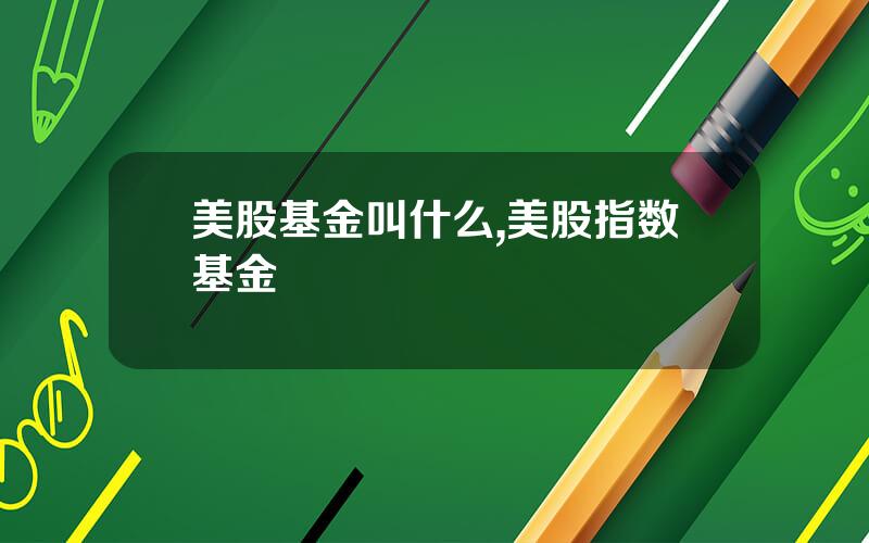 美股基金叫什么,美股指数基金